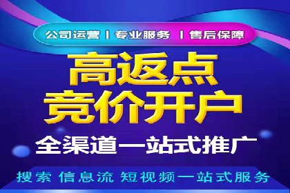 百度竞价广告投放策略及成功盈利案例